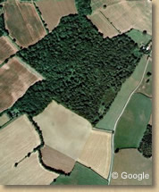 Ast Wood in 2000 (c) getmapping
