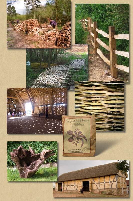 collage of woodland products